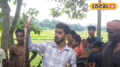 অজগর সাপ উদ্ধার অজগর সাপ উদ্ধার