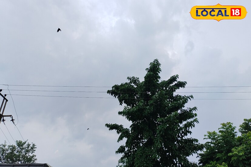 নিম্নচাপটি আগামী ২৪ ঘন্টার মধ্যে দক্ষিণ-পশ্চিম বিহার এবং পূর্ব উত্তর প্রদেশ জুড়ে পশ্চিম-উত্তর-পশ্চিম দিকে অগ্রসর হওয়ার সম্ভাবনা রয়েছে। পাশাপাশি গাঙ্গেয় পশ্চিমবঙ্গে এখনও অবস্থান করছে মৌসুমী অক্ষরেখা। যার ফলে দক্ষিণবঙ্গে বিক্ষিপ্ত ভাবে হালকা থেকে মাঝারি বৃষ্টিপাতের সম্ভাবনা রয়েছে।