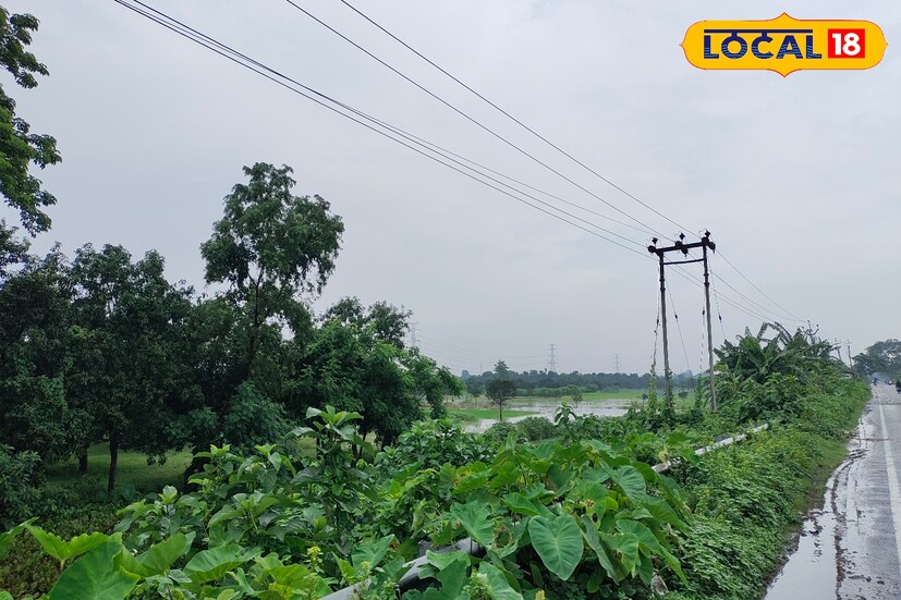 হাওয়া দফতরের তথ্য অনুযায়ী, বিগত ২৪ ঘন্টায় উত্তরবঙ্গের মালদহ জেলায় ০২৮.০ মিলিমিটার বৃষ্টিপাত হয়েছে। পাশাপাশি উত্তরবঙ্গের পার্বত্য জেলা দার্জিলিং এ ০১৩.০ মিলিমিটার, কালিম্পং এ ০১৪.০ মিলিমিটার এবং জলপাইগুড়িতে ০০৬.০ মিলিমিটার বৃষ্টিপাত হয়েছে।