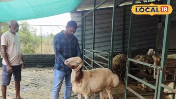 দুম্বার