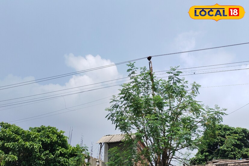 আবহাওয়া দফতরের তথ্য অনুযায়ী, গাঙ্গেয় দক্ষিণবঙ্গে এখনও অবস্থানরত মৌসুমী অক্ষরেখা। শুক্রবার দিন উত্তরবঙ্গ এবং দক্ষিণবঙ্গে আকাশ পরিষ্কার থাকলেও। শুক্রবার দুপুরের পর থেকে দক্ষিণবঙ্গের উপকূলবর্তী জেলায় বজ্রবিদ্যুৎ-সহ বিক্ষিপ্তভাবে হালকা থেকে মাঝারি বৃষ্টিপাতের সম্ভাবনা রয়েছে।