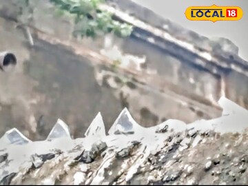 বৈপ্লবিক