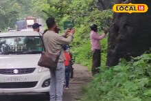 বিনা টিকিটে বাইসন, হাতি, হরিণের দেখা মিলছে এই জায়গায়