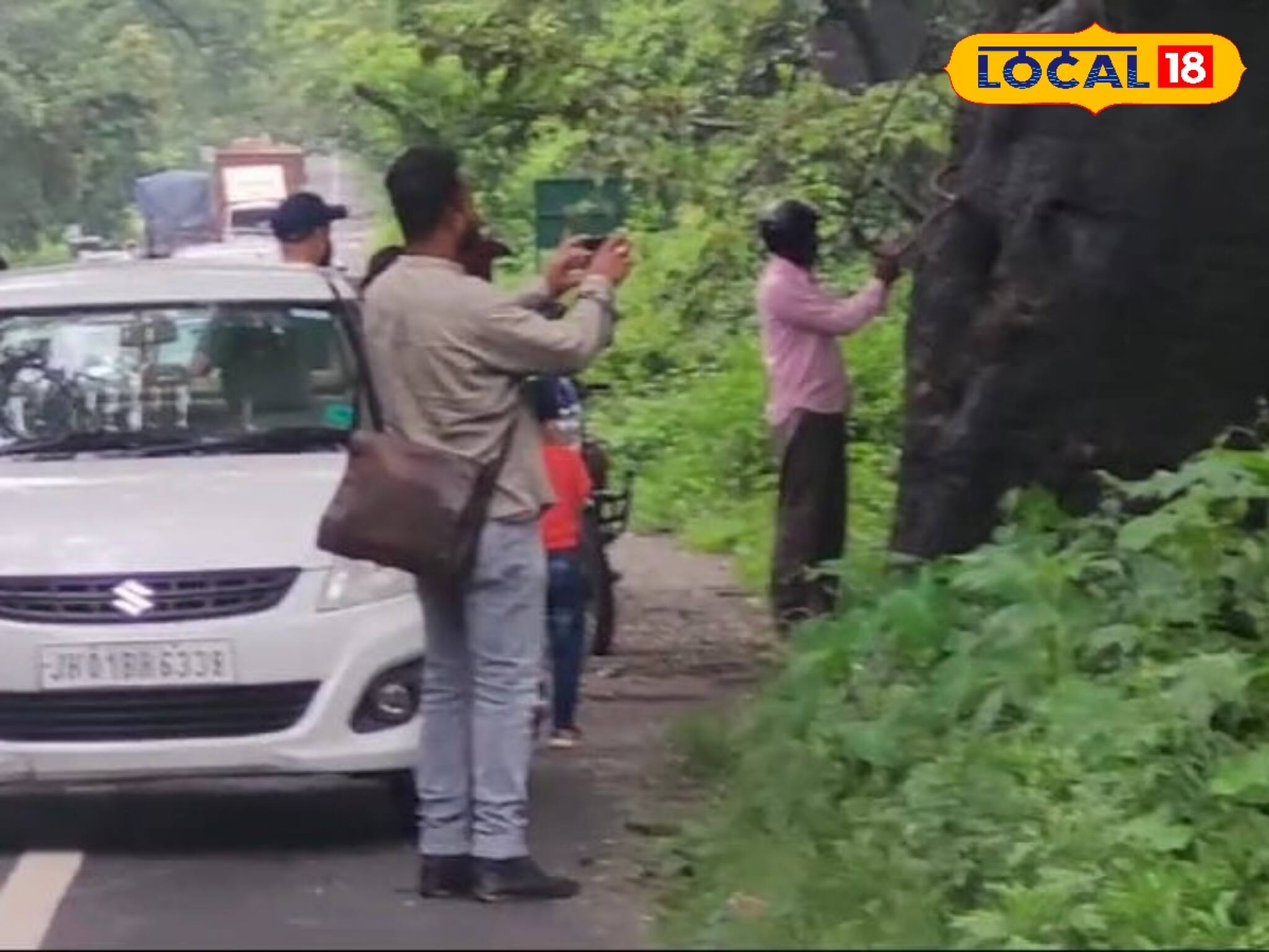 বিনা টিকিটে বাইসন, হাতি, হরিণের দেখা মিলছে এই জায়গায়