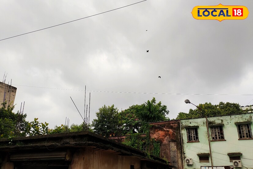 তবে শনিবার দিন উত্তরবঙ্গের বেশিরভাগ জেলায় হালকা থেকে মাঝারি বৃষ্টি ও বজ্রপাতের সম্ভাবনা রয়েছে। উত্তরবঙ্গের আলিপুরদুয়ার, কোচবিহার, কালিম্পং এবং উত্তর দিনাজপুর জেলার এক বা দুটি জায়গায় ভারী বৃষ্টিপাত (০৭-১১ সেমি) হতে পারে।