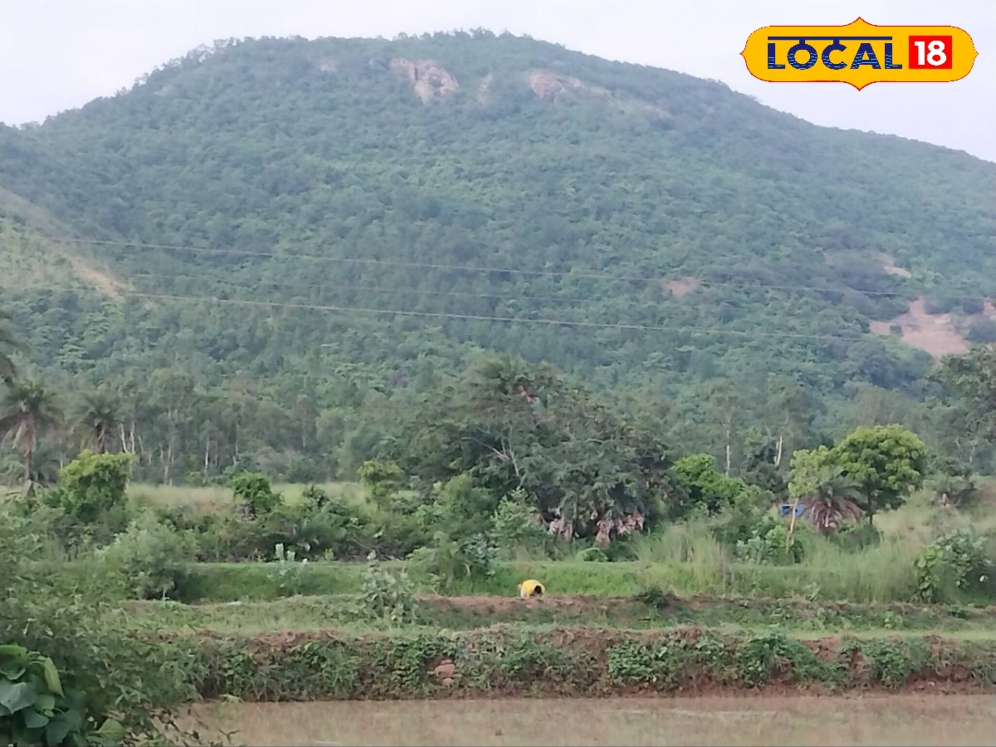 বর্ষায় আরও সুন্দরী হয় এই পাহাড়, সপ্তাহান্তের ছুটিতে ঘুরে আসুন কলকাতার কাছেই এই জায়গা থেকে