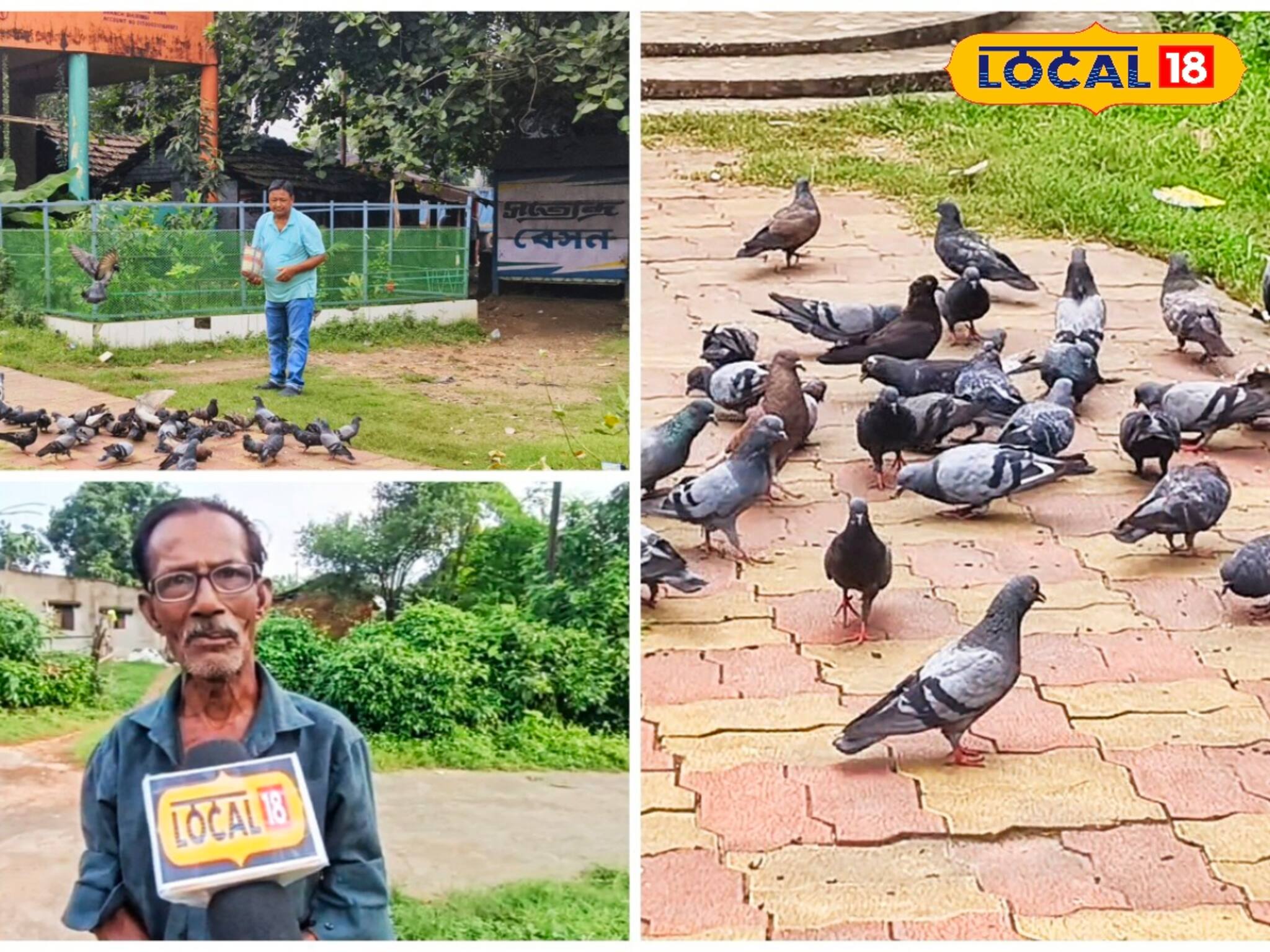 প্রাণের থেকে প্রিয় পাখিদের খাওয়াতে ৪০ বছর ধরে ভোলে না সুখদেব,জিৎ বাহাদুরও দারুণ ভালবাসে