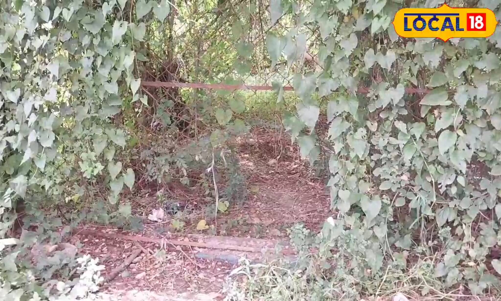 নিউটাউনে ‌যত্রতত্র গজিয়ে উঠেছে ঝোপঝাড়! অভিযোগ নজর নেই এন কে ডি এর