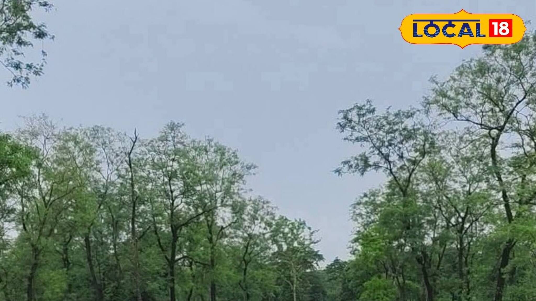 জঙ্গল বন্ধ তাতে কী! বর্ষায় মোহময়ী ডুয়ার্স, ঘুরে আসুন 'এই' জায়গাগুলি! বিদেশের চেয়েও সুন্দর