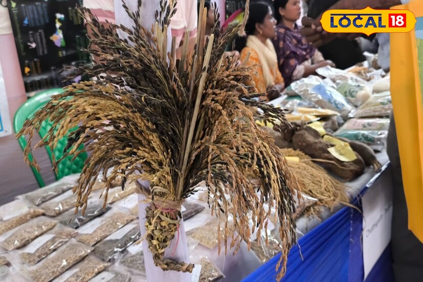 বাঁকুড় জেলায় বীজ উৎপাদন এবং সংরক্ষণের জন্য বিভিন্ন কর্মশালার আয়োজন করা হয়, যেখানে কৃষকদের বীজ সম্পর্কে জ্ঞান দেওয়া হয়। বাঁকুড় জেলায় কৃষি মেলা এবং বীজ উৎসবের আয়োজন করা হয়, যেখানে বিভিন্ন ধরনের বীজ এবং কৃষি প্রযুক্তি প্রদর্শিত হয়। অর্থাৎ বীজ তৈরি নিয়ে যথেষ্ট সিরিয়াস জেলা বাঁকুড়া।