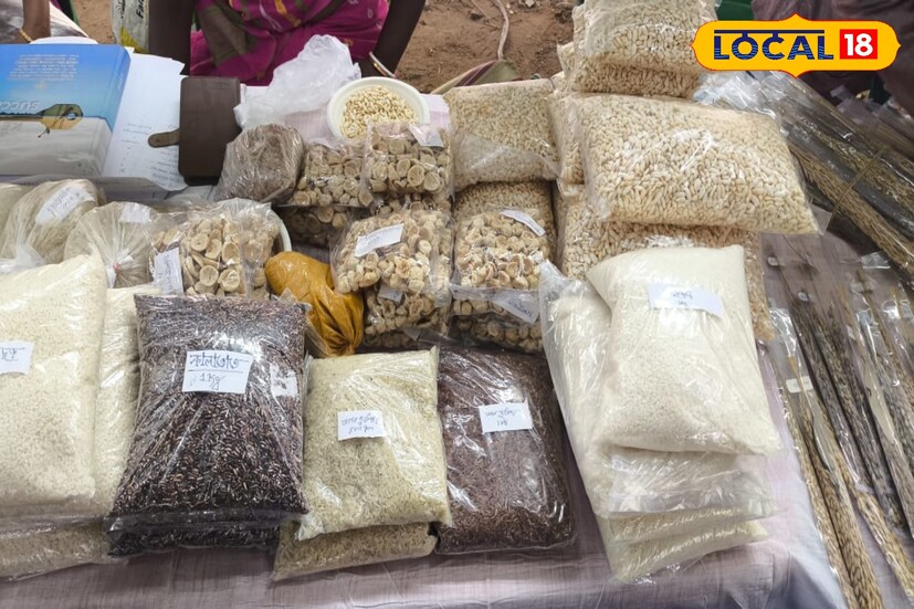 বাঁকুড়া কেন একটি সিড হাব। বাঁকুড়ার আবহাওয়া চরমভাবাপন্ন। একটি বীজ অঙ্কুরিত হতে যথেষ্ট বেগ পেতে হয়। সে কারণে বাঁকুড়ার বীজ যখন উপযুক্ত আবহাওয়া পায় তখন তরতর করে বেড়ে ওঠে।