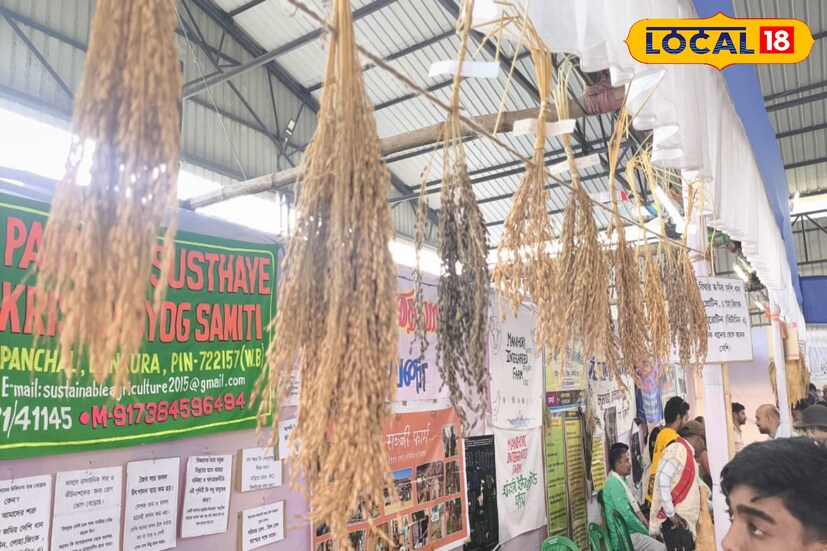 বীজ উৎপাদনকারী এক সংস্থার ম্যানেজার জানান, 