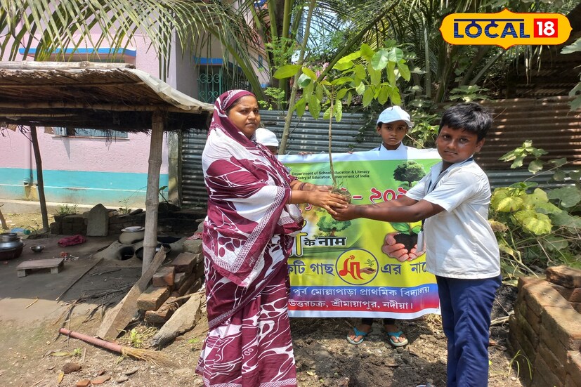 প্রধানমন্ত্রীর এই আহ্বানকে সার্থক করে তুলতে এদিন নদিয়া জেলার শ্রী মায়াপুরের পূর্ব মোল্লাপাড়া প্রাথমিক বিদ্যালয়ে বৃক্ষ রোপন কর্মসূচি গ্রহণ করা হয়। এদিন সকালে বিদ্যালয়ের ছাত্র-ছাত্রী ও অভিভাবকদের নিয়ে একটি পদযাত্রার আয়োজন করা হয়।