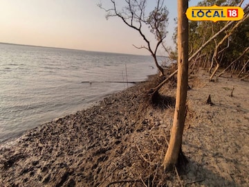 চোখেমুখে লেপ্টে যায় নোনা বাতাস, ভাঙনের মুখে ধ্বংসের গ্রাসে হারিয়ে যাবে এই জনপ্রিয় ট্যুরিস্ট স্পট? উদ্বিগ্ন পর্যটকরা চোখেমুখে লেপ্টে যায় নোনা বাতাস, ভাঙনের মুখে ধ্বংসের গ্রাসে হারিয়ে যাবে এই জনপ্রিয় ট্যুরিস্ট স্পট? উদ্বিগ্ন পর্যটকরা