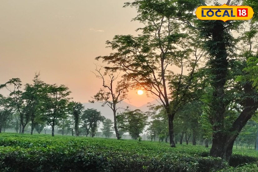 *কাঠফাটা গরমের পরে মিলতে চলেছে একটু স্বস্তি উত্তরের জেলাগুলিতে। শুক্রবার রোদ, বৃষ্টির লুকোচুরি খেলা চললেও গরমের দাপট খুব একটা লক্ষ্য করা যাবেনা বলে জানাল আবহাওয়া দফতর। তবে শনিবার থেকে উত্তরবঙ্গের পার্বত্য জেলা দার্জিলিং, কালিম্পং, জলপাইগুড়ি, আলিপুরদুয়ার, কোচবিহার জেলায় ভারী বৃষ্টিপাতের সম্ভাবনার কথা জানিয়েছে আবহাওয়া দফতর।