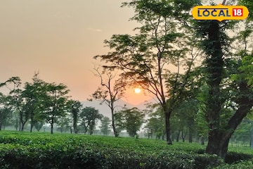 বৃষ্টিতে অস্বস্তি কমেছে উত্তরের, দক্ষিণে তেড়েফুঁড়ে বৃষ্টি! শনিবার কোন জেলায় কেমন আবহাওয়া? বৃষ্টিতে অস্বস্তি কমেছে উত্তরের, দক্ষিণে তেড়েফুঁড়ে বৃষ্টি! শনিবার কোন জেলায় কেমন আবহাওয়া?