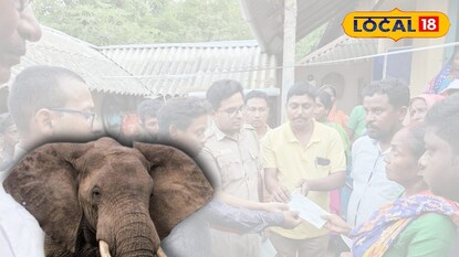 হাতির হানায় মৃত্যু 