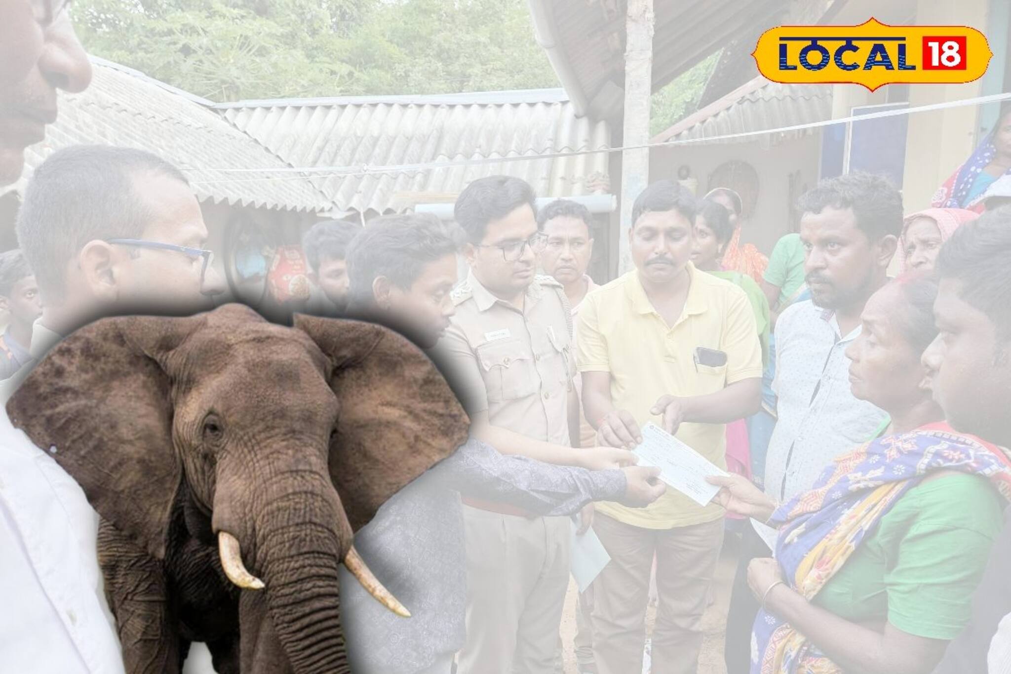 ফের শালবনীতে হাতির হানা, মৃত্যু এক বৃদ্ধের