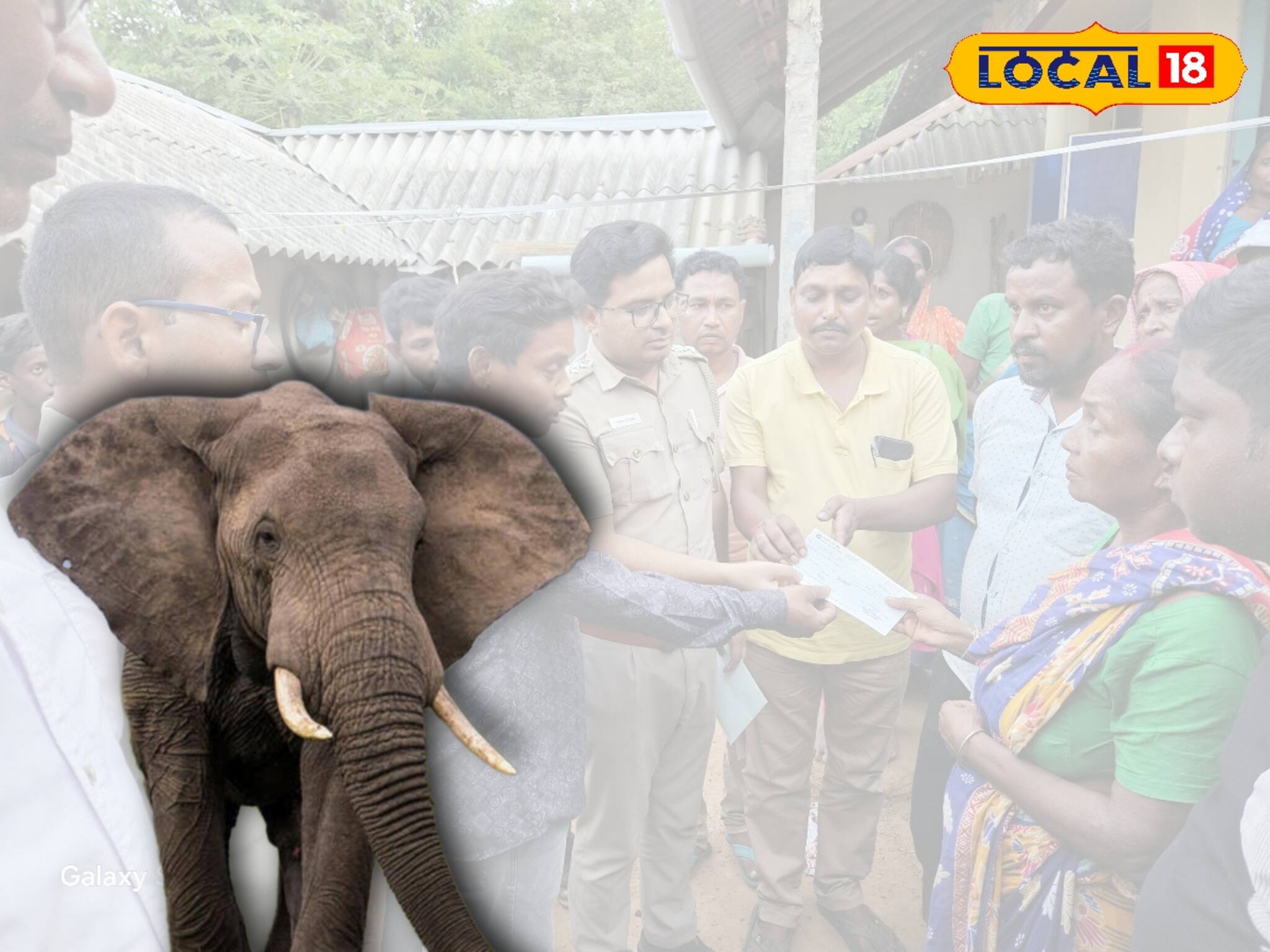 ফের শালবনীতে হাতির হানা, মৃত্যু এক বৃদ্ধের