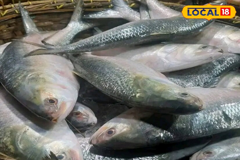 ২৭ শেষ জুলাই পর্যন্ত মাছ ধরার নিষেধাজ্ঞা রয়েছে। এরপর আবার মৎস্যজীবীরা গভীর সমুদ্রে পাড়ি দেবেন। তখন আরও মাছ উঠবে বলে মনে করা হচ্ছে।