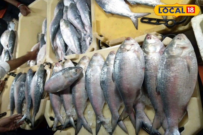 তবে আবহাওয়ার পরিবর্তন হওয়ায় সমুদ্র থেকে ফিরে আসতে হয়েছে মৎস্যজীবীদের। তা না হলে আরও বেশি মাছ উঠত।