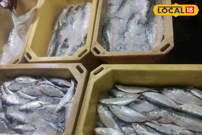 এ নিয়ে কাকদ্বীপ ফিশারম্যান ওয়েলফেয়ার অ্যাসোসিয়েশনের সম্পাদক বিজন মাইতি জানিয়েছেন, 