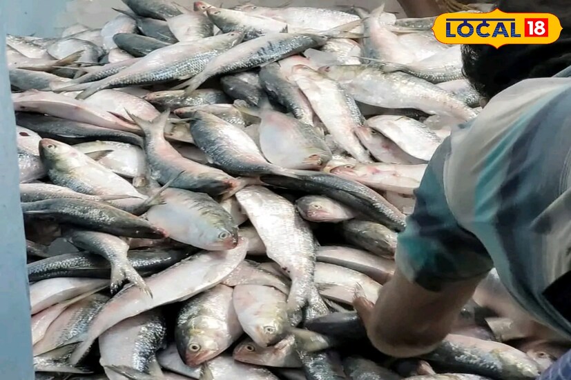 আবহাওয়া খারাপের সতর্কতা পেয়ে উপকূলে ফিরেছে ট্রলার। আর তার পরে বদলে গিয়েছে বাজারের পরিবেশ। বাজারে এসেছে বিপুল পরিমাণে ইলিশ।