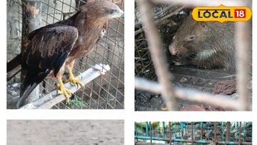 পশুপ্রেমী