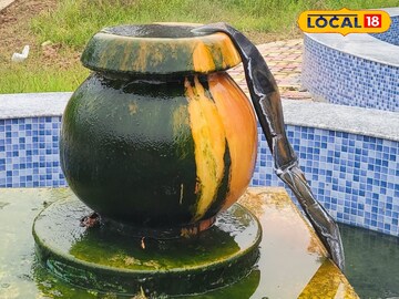 উষ্ণ উষ্ণ