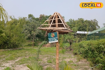 রয়্যাল বেঙ্গল টাইগার দেখতে আর ছুটতে হবে না সুন্দরবন...! এবার দেখা মিলবে হাতের কাছেই রয়্যাল বেঙ্গল টাইগার দেখতে আর ছুটতে হবে না সুন্দরবন...! এবার দেখা মিলবে হাতের কাছেই