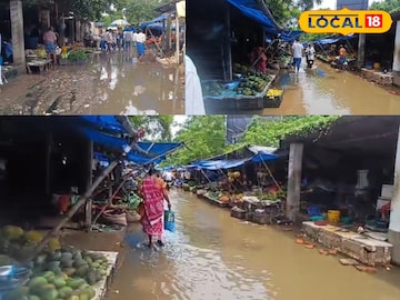 বর্ষা যেন অভিশাপ! ভাতার কৃষি বাজারে দুর্গন্ধে নাজেহাল ক্রেতা-বিক্রেতারা বর্ষা যেন অভিশাপ! ভাতার কৃষি বাজারে দুর্গন্ধে নাজেহাল ক্রেতা-বিক্রেতারা
