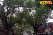 ব্যারাকপুর-বারাসত রোড সম্প্রসারণে ৩০০ প্রাচীন গাছ বড় বাধা, উপায় অনিশ্চিত
