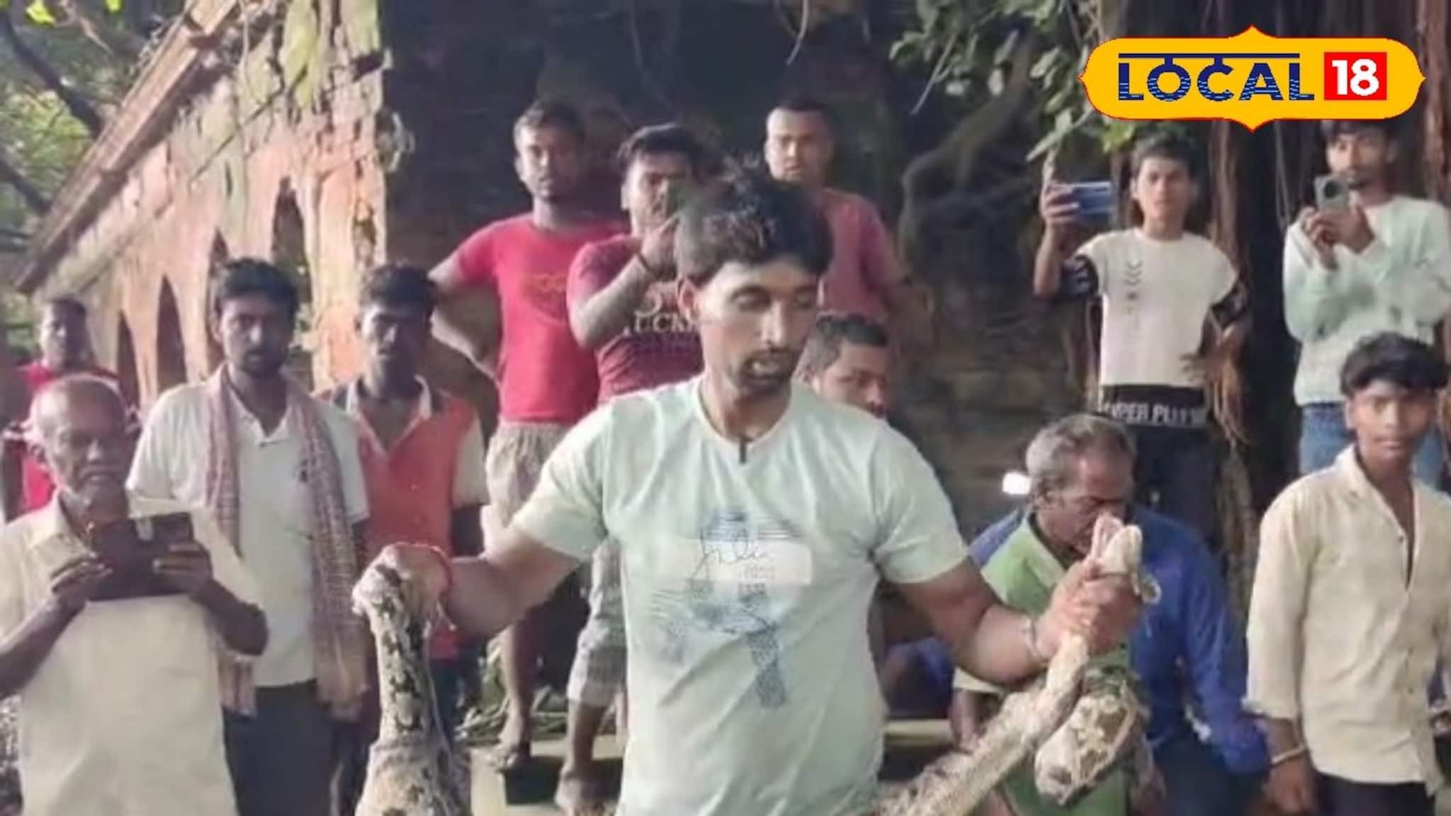 Viral News: রাজবাড়িতে কিছু একটা ঘটছে সন্দেহ করেছিলেন সবাই, কুয়োতে মিলল ভয়ঙ্কর এক প্রাণী! দেখুন ভিডিও