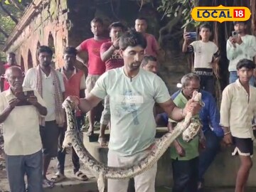Viral news: ঐতিহ্যবাহী রাজবাড়ির কুয়োয় ছলাৎ ছলাৎ শব্দ! জল সরাতেই বেরিয়ে এল ন’ফুটের সেই ভয়ঙ্কর প্রাণী
