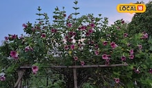 ঝাড়গ্রাম বেড়াতে যাবেন? আপনার জন্য বড় চমক অপেক্ষা করছে, হোটেল বুক করার আগে জেনে নিন