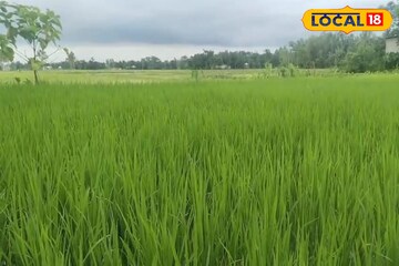 ঝাঁপিয়ে বৃষ্টি, আকাশ হবে কালো, বৃষ্টি কমার কোনও সম্ভাবনা নেই, রইল ওয়েদার আপডেট