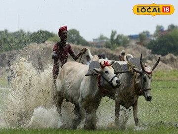 মই
