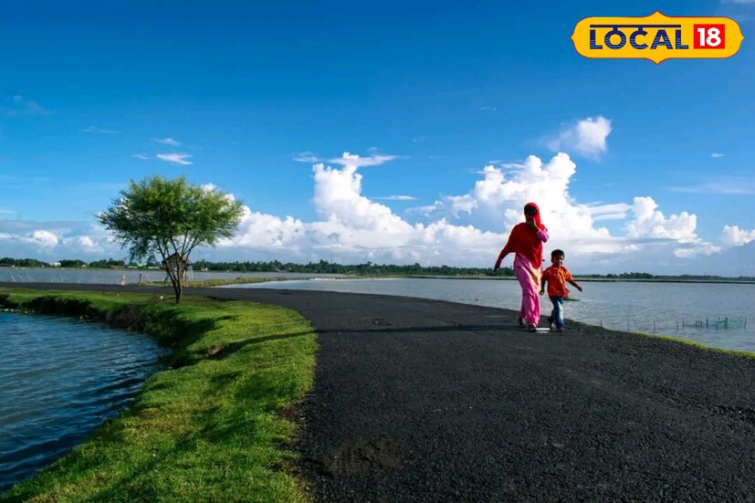 *যারা কোলাহল থেকে দূরে নিরিবিলিতে সময় কাটাতে চান, তাদের জন্য আদর্শ জায়গা আন্দুলপোতা। সবুজে ঘেরা, শান্তিপূর্ণ এই পরিবেশ শরীর ও মনের ক্লান্তি দূর করে। প্রিয়জনদের সঙ্গে একান্তে সময় কাটাতে বা নিজের সঙ্গে একান্তে থাকতে এই জায়গার জুড়ি নেই।