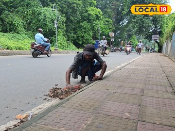 ভবঘুরের