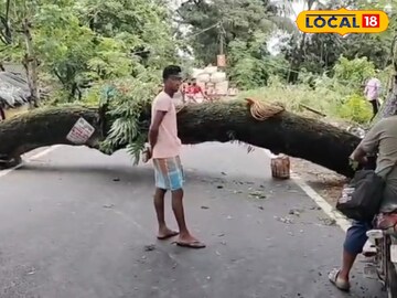 গাছ