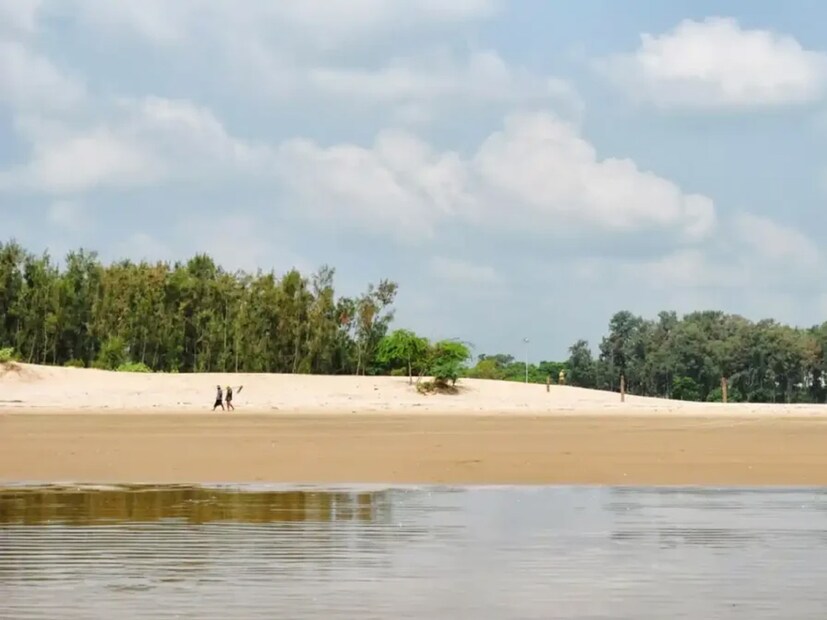 *তালসারি সমুদ্র সৈকত, দিঘা থেকে মাত্র ১১ কিমি দূরে বাংলা-ওড়িশা সীমান্তে অবস্থিত তালসারি। একদিকে ঝাউ, শাল আর পিয়ালের ঘন বন, অন্যদিকে নরম বালির বেলাভূমি আর সফেন ঢেউয়ের ছোঁয়া, সব মিলিয়ে স্বপ্নের মত পরিবেশ। সকালের ব্রেকফাস্ট থেকে দুপুরের খাবার, স্থানীয় বাজারে অস্থায়ী হোটেলেই মেলে পরিষ্কার ও সুস্বাদু খাবার। যারা ফ্যামিলি নিয়ে নিরিবিলি সময় কাটাতে চান বা বাচ্চাদের নিয়ে একটু গাছ-পাখি-সমুদ্র ঘেঁষা পরিবেশে হাঁটতে চান, তাদের জন্য তালসারি আদর্শ গন্তব্য।