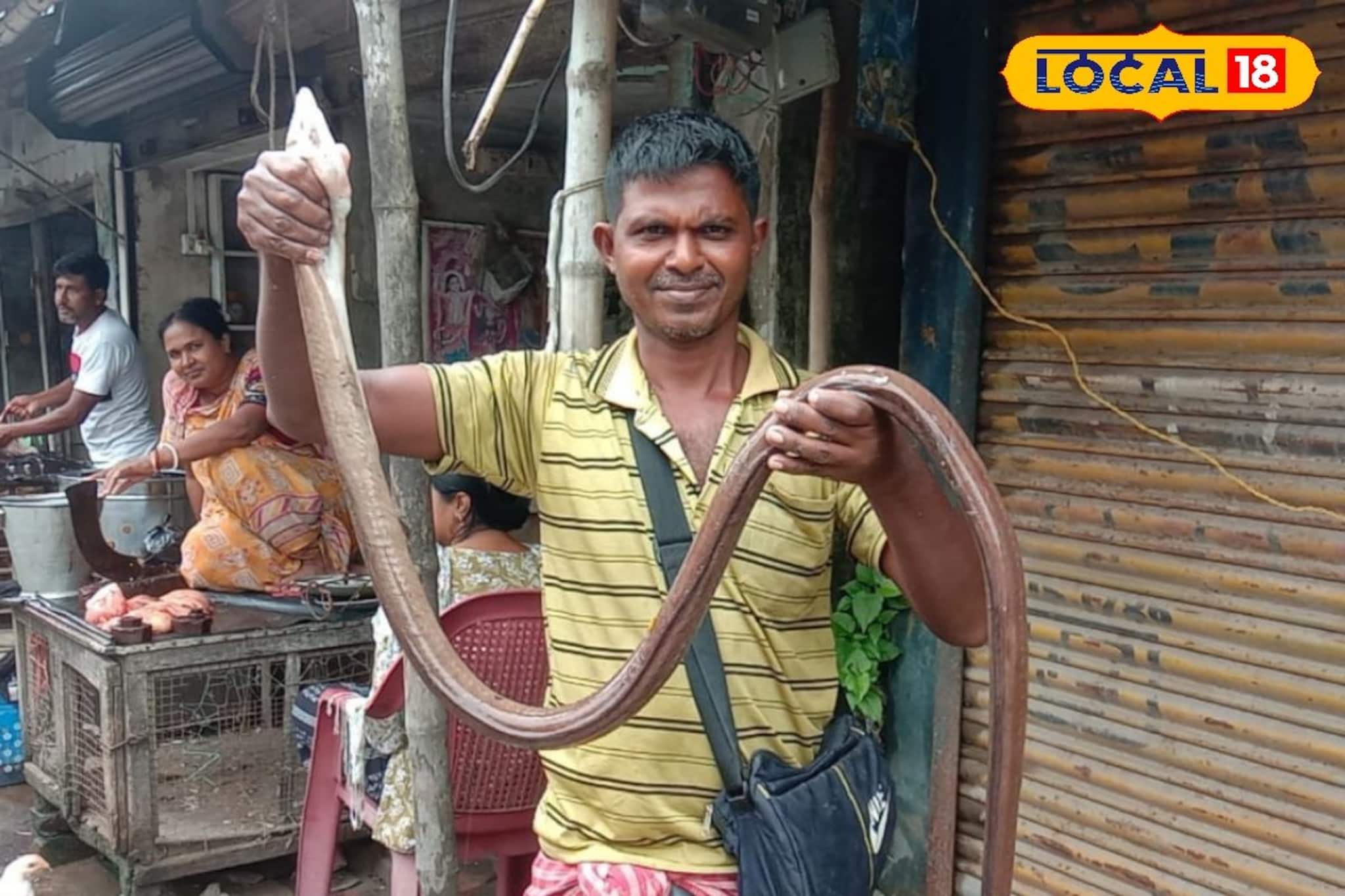 ৭ ফিট লম্বা ওটা কী মাছ! ধরা পড়ল জালে, দেখে মনে হবে সাপ! হইচই বাজারে