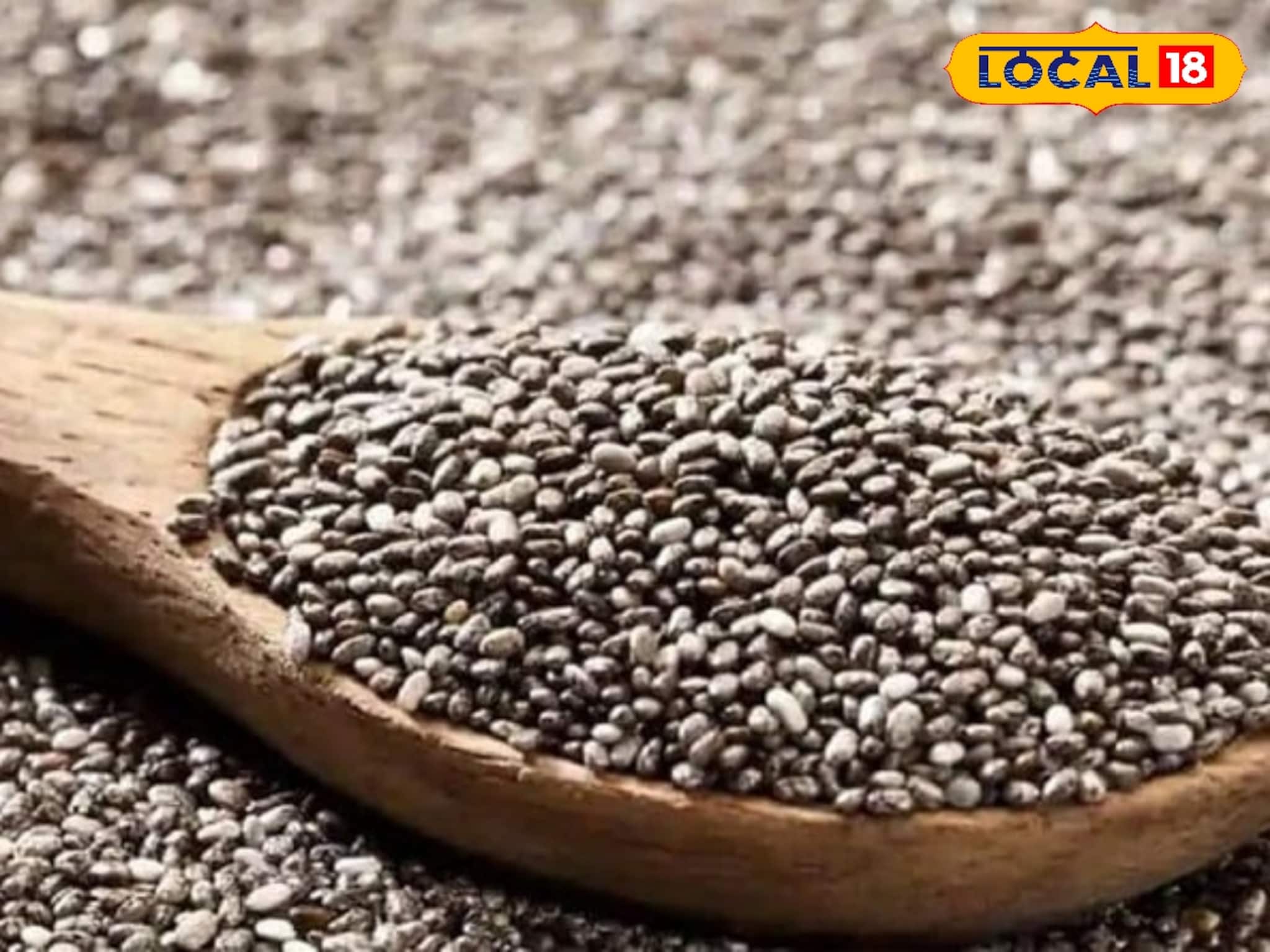 বীরভূমের মাটিতে চাষ হচ্ছে এই বীজ! কেমন চাহিদা রয়েছে?
