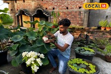 নবাড়ির ছাদে ‘পদ্মের রাজ্য’! ৪২টিরও বেশি প্রজাতি রয়েছে পূর্বস্থলীর উৎসবের বাগানে