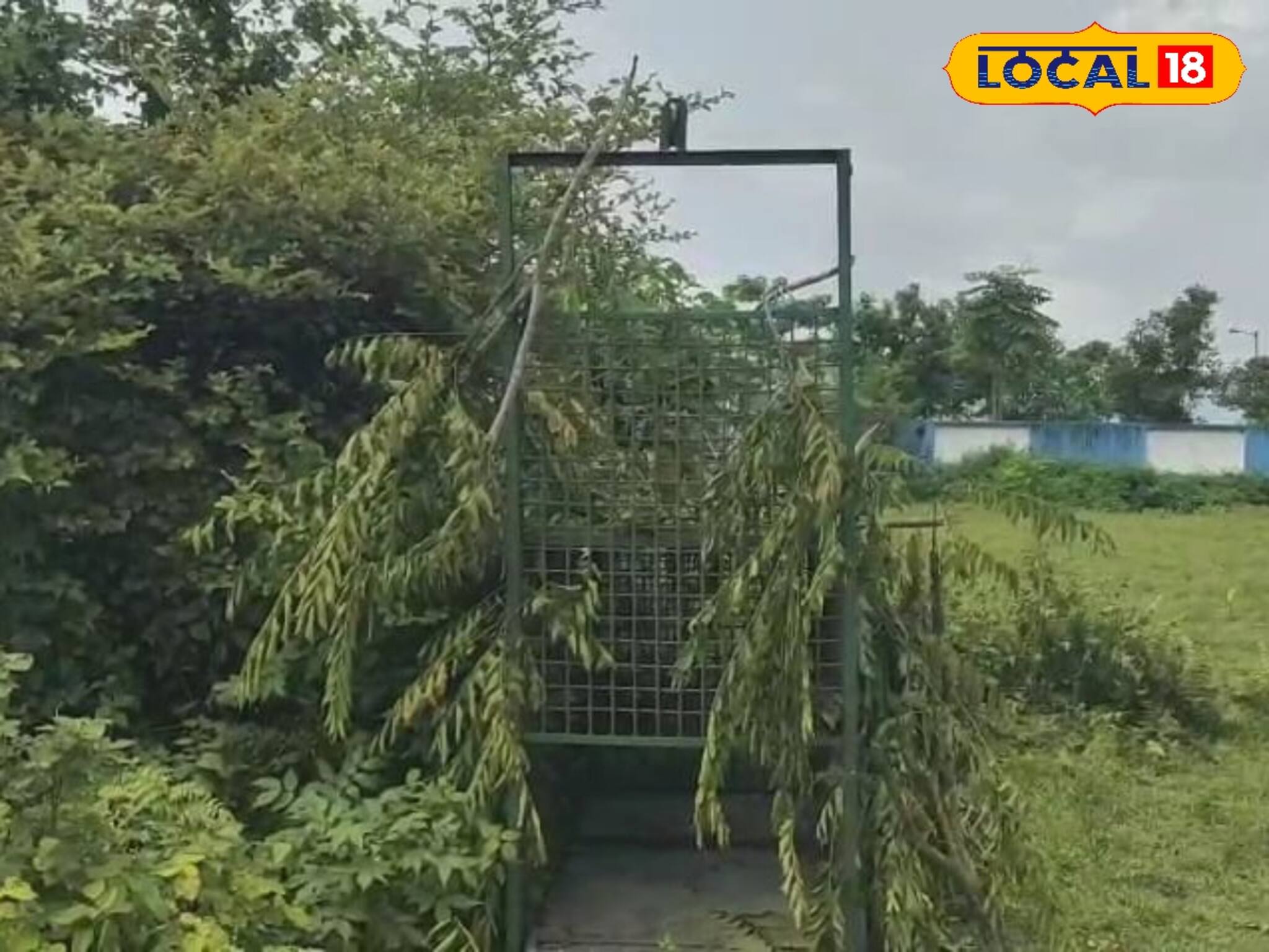 স্কুলে দাপিয়ে বেড়াচ্ছে লেপার্ড! ভয়ে হাড়হিম কালচিনির পড়ুয়া থেকে এলাকাবাসীদের