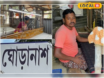 Job Market in Bengal: ভিন রাজ্যে বাঙালি হেনস্থা, অথচ ঘরেই ছিল কাজের সুযোগ! জানালেন পুরস্কারপ্রাপ্ত তাঁত শিল্পী