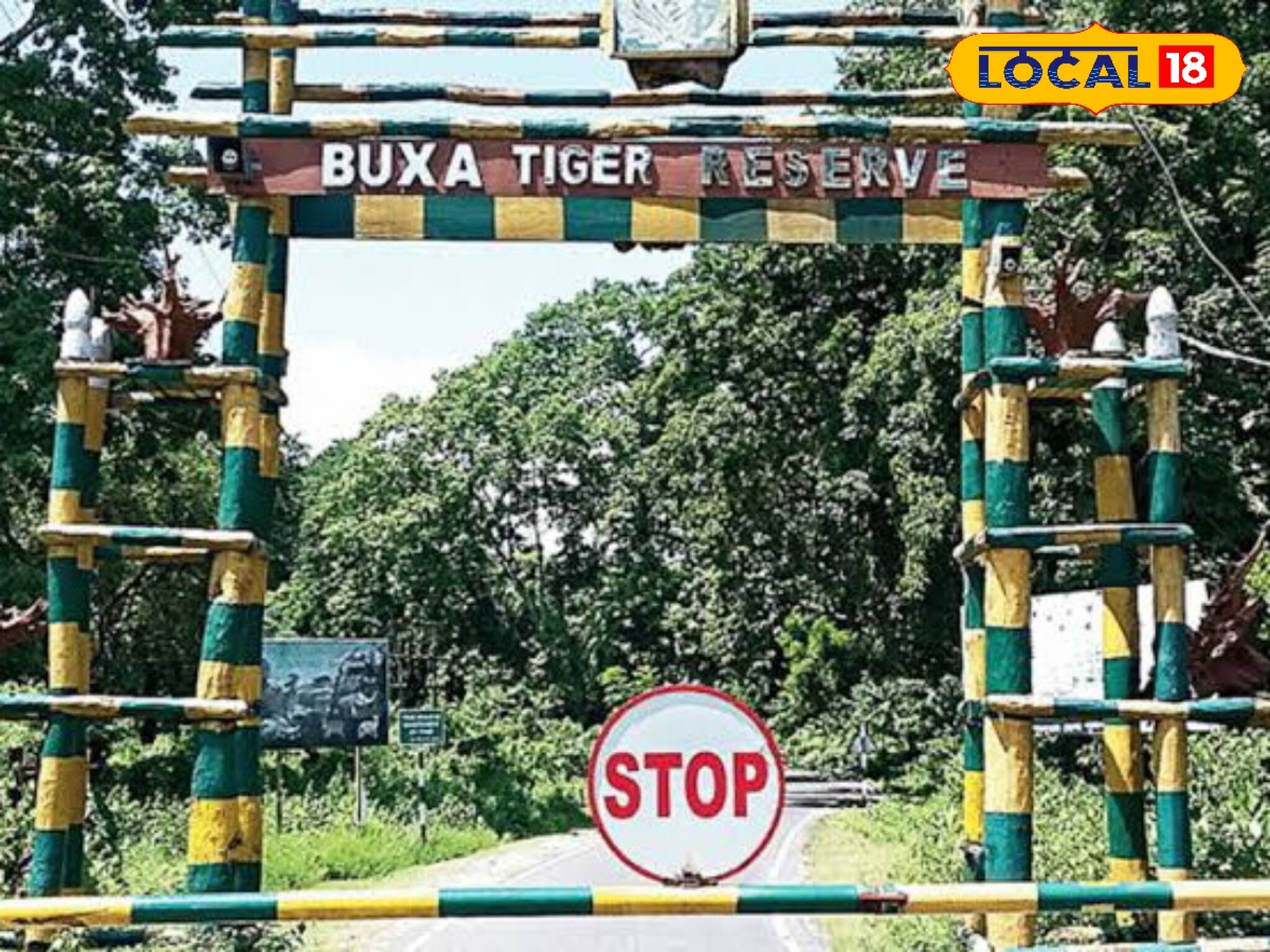 বর্ষার ডুয়ার্স অপরূপ, রাজাভাতখাওয়া থেকে লেপচাখা, স্বাধীনতা দিবসের ছুটিতে ঘুরে আসুন