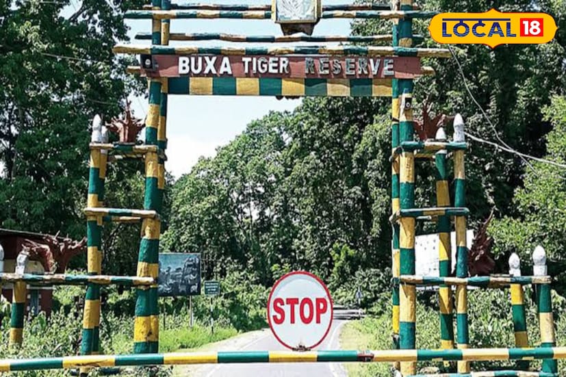 *১৫ অগাস্টের সময় বড় ছুটি রয়েছে। ঘরে আর মন টিকছে না। একঘেয়েমি জীবনের ছক ভাঙতে ইচ্ছে হচ্ছে। তাহলে ব&#x200d;্যাগ প&#x200d;্যাক করে বেরিয়ে পড়ুন। আপনার গন্তব&#x200d;্য হক আলিপুরদুয়ার জেলার বক্সা জঙ্গলের পর্যটনস্থানগুলি।