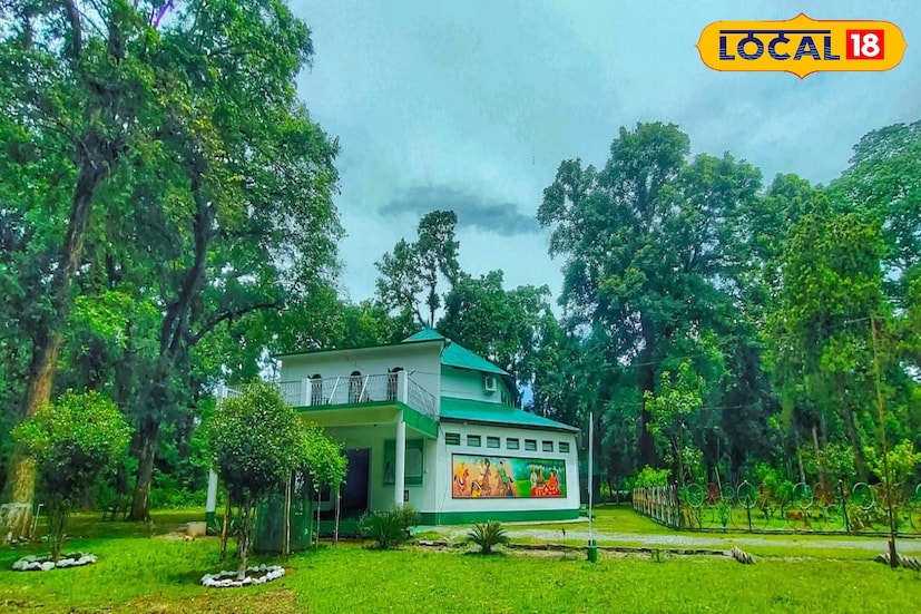 *বক্সার জঙ্গল মানেই রাজাভাতখাওয়া। দু-পাশে ঘন জঙ্গল মাঝে চলে যায় রাস্তা। এই নৈসর্গিক দৃশ্য ছাড়া এখানে দেখার মতো হল বন দফতরের তৈরি মিউজিয়াম ও অর্কিড হাউস। এখানে বন থেকে সংগৃহীত নানা ধরণের প্রাণীর ফসিল রাখা রয়েছে। এখানে অনেক বন্যপ্রাণীর প্রতিকৃতিও রাখা আছে। অর্কিড হাউসে দেখা মেলে নাম না জানা হাজারও অর্কিডের। কিন্তু এই সবকিছুই ছবি তোলা বা স্পর্শ করা নিষিদ্ধ।