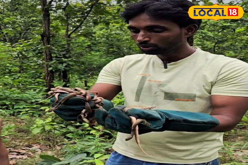 অমিত বাবুর আবেদন, 